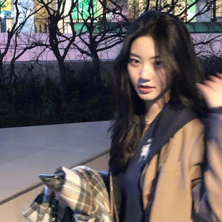 狗不理传奇