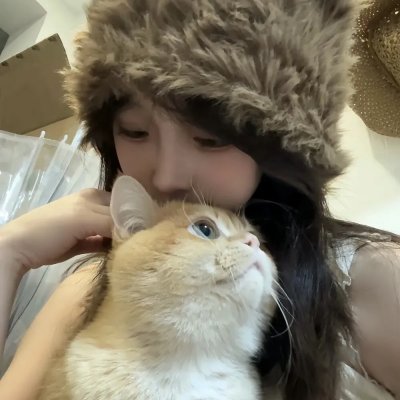 小老鼠历险记